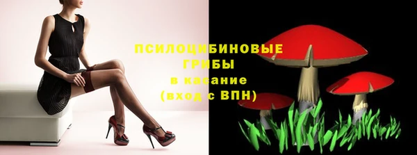 бошки Алексин