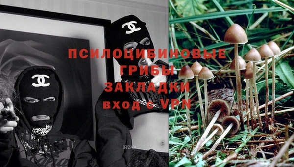 бошки Алексин