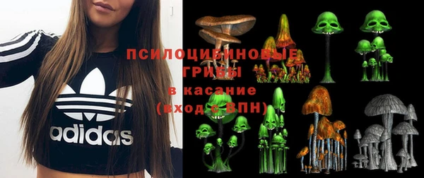 бошки Алексин