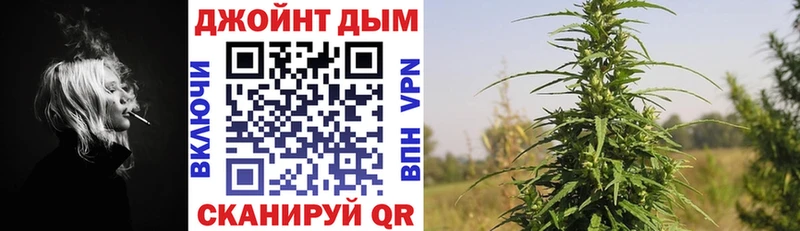 Марихуана план  где продают наркотики  Асино 